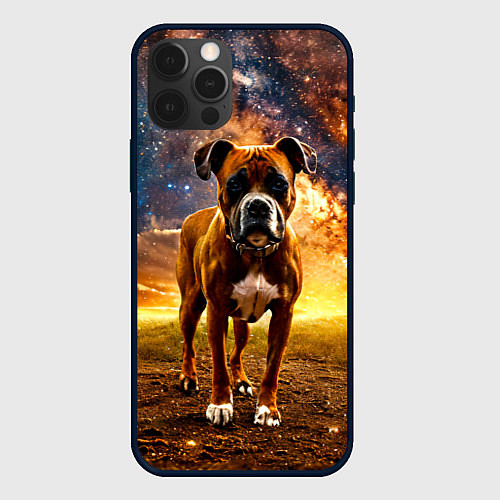 Чехол iPhone 12 Pro Немецкий боксер и звездное небо / 3D-Черный – фото 1