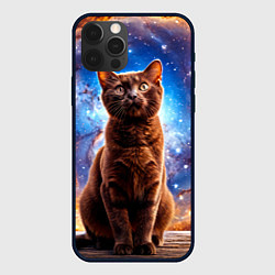 Чехол iPhone 12 Pro Бурма в космосе