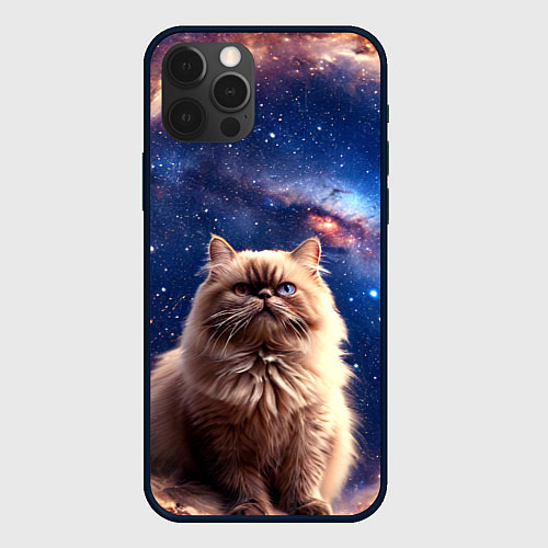 Чехол iPhone 12 Pro Гималайская кошка в космосе / 3D-Черный – фото 1