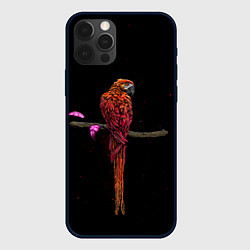 Чехол iPhone 12 Pro Попугай пирата
