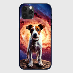 Чехол iPhone 12 Pro Фокстерьер в космосе