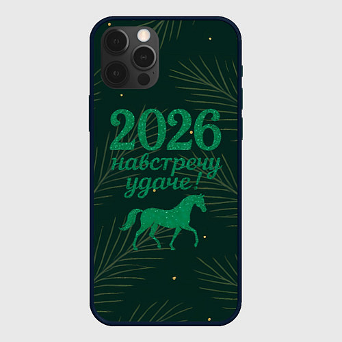 Чехол iPhone 12 Pro Навстречу удаче 2026 / 3D-Черный – фото 1