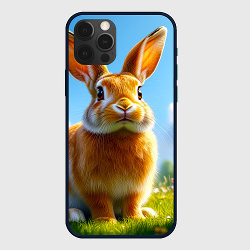 Чехол iPhone 12 Pro Солнечный кролик на лугу / 3D-Черный – фото 1