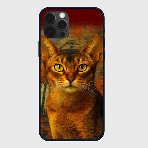Чехол iPhone 12 Pro Абиссинская кошка на фоне кирпичной стены с граффи / 3D-Черный – фото 1
