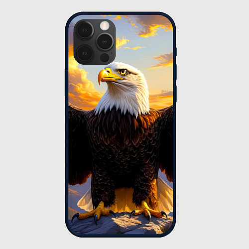 Чехол iPhone 12 Pro Белоголовый орлан владыка небес / 3D-Черный – фото 1