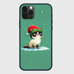 Чехол iPhone 12 Pro Новогодний мем котик