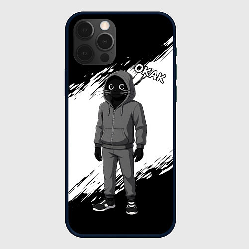 Чехол iPhone 12 Pro Окак - кот мем / 3D-Черный – фото 1
