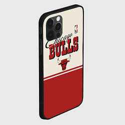 Чехол для iPhone 12 Pro NBA Chicago Bulls vintage, цвет: 3D-черный — фото 2