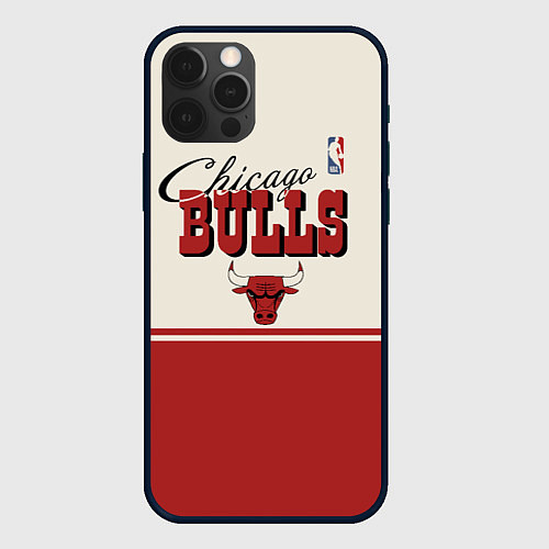 Чехол iPhone 12 Pro NBA Chicago Bulls vintage / 3D-Черный – фото 1