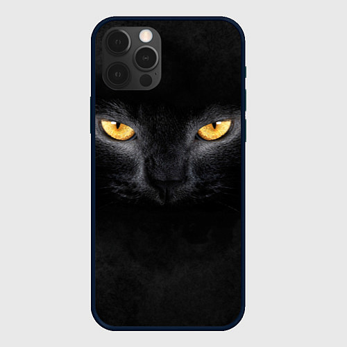 Чехол iPhone 12 Pro Черная кошка / 3D-Черный – фото 1