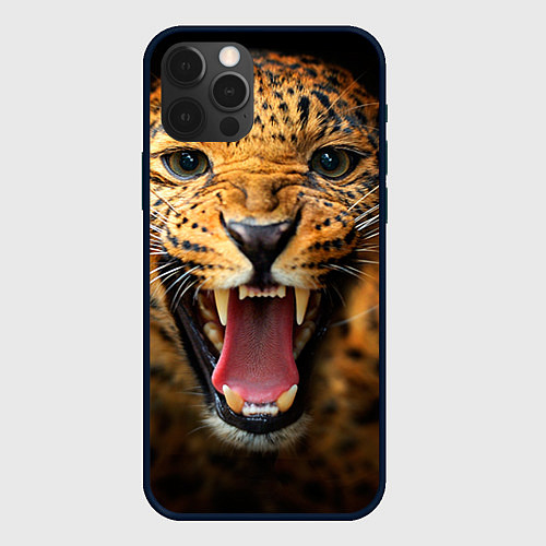 Чехол iPhone 12 Pro Рык леопарда / 3D-Черный – фото 1