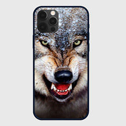 Чехол для iPhone 12 Pro Взгляд волка, цвет: 3D-черный