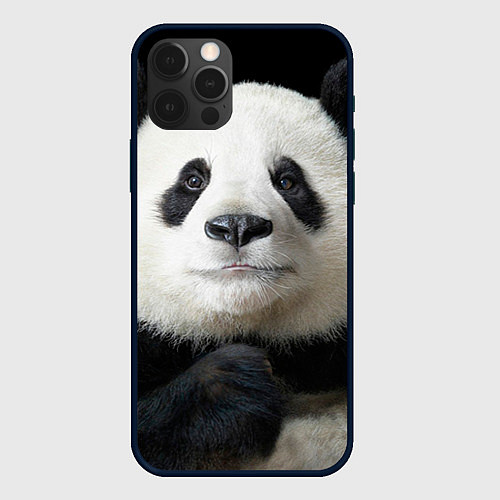 Чехол iPhone 12 Pro Взгляд пандочки / 3D-Черный – фото 1