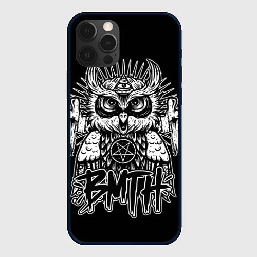 Чехол iPhone 12 Pro BMTH Owl / 3D-Черный – фото 1