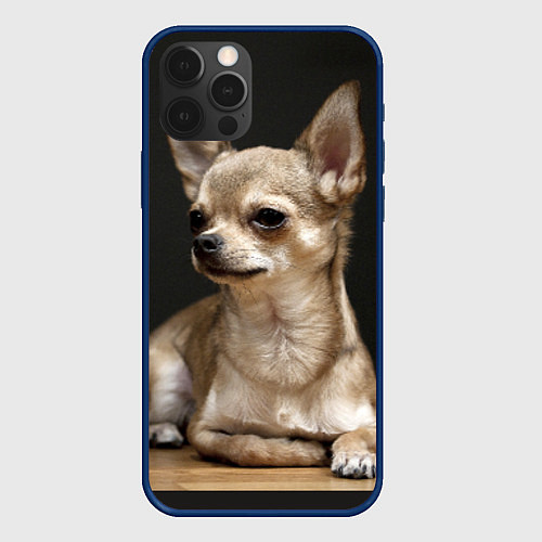 Чехол iPhone 12 Pro Малышка чихуахуа / 3D-Тёмно-синий – фото 1