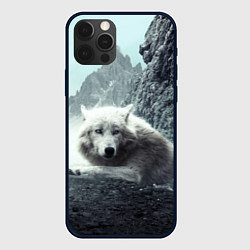 Чехол iPhone 12 Pro Волк в горах