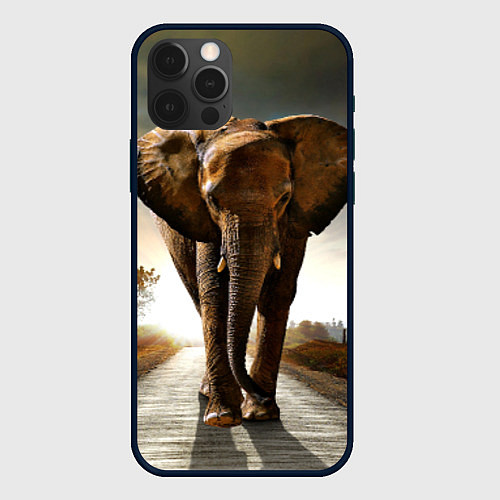 Чехол iPhone 12 Pro Дикий слон / 3D-Черный – фото 1