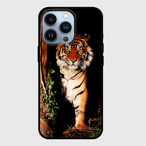 Чехол iPhone 13 Pro Тигр выглядывает из темноты - большая картинка / 3D-Черный – фото 1
