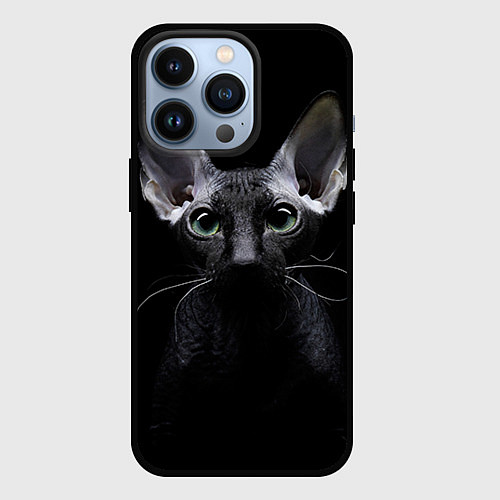 Чехол iPhone 13 Pro Сфинкс 2 / 3D-Черный – фото 1