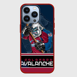 Чехол iPhone 13 Pro Colorado Avalanche