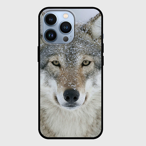 Чехол iPhone 13 Pro Милый волк / 3D-Черный – фото 1