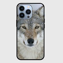 Чехол iPhone 13 Pro Милый волк