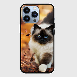 Чехол iPhone 13 Pro Котик в листьях