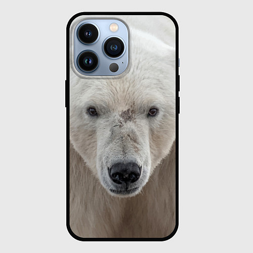 Чехол iPhone 13 Pro Белый медведь / 3D-Черный – фото 1