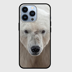 Чехол iPhone 13 Pro Белый медведь