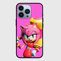 Чехол iPhone 13 Pro Amy Rose