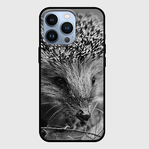 Чехол iPhone 13 Pro Взгляд ёжика / 3D-Черный – фото 1