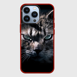 Чехол для iPhone 13 Pro Котик, цвет: 3D-красный