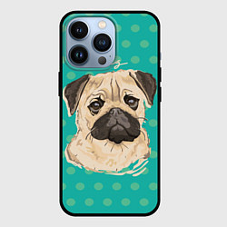 Чехол iPhone 13 Pro Pug Mops