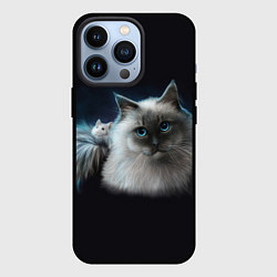 Чехол iPhone 13 Pro Кошка и мышка