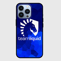 Чехол iPhone 13 Pro Team Liquid: Polygons