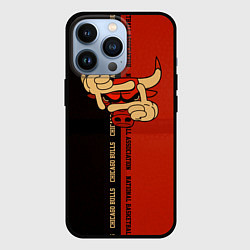 Чехол iPhone 13 Pro NBA. Chicago Bulls