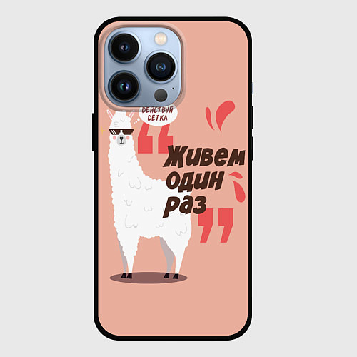Чехол iPhone 13 Pro Живешь один раз / 3D-Черный – фото 1
