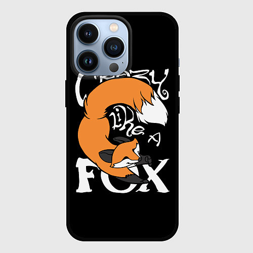 Чехол iPhone 13 Pro Crazy Like a Fox / 3D-Черный – фото 1