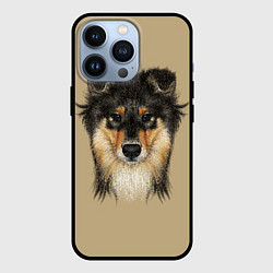 Чехол iPhone 13 Pro Rouge Collie