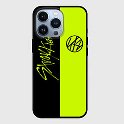 Чехол iPhone 13 Pro Stray Kids