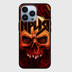 Чехол iPhone 13 Pro Ария