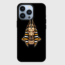 Чехол iPhone 13 Pro Anubis