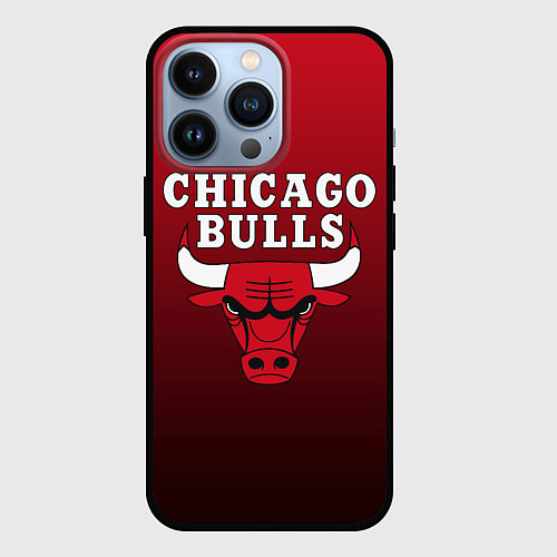 Чехол iPhone 13 Pro CHICAGO BULLS / 3D-Черный – фото 1
