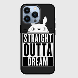 Чехол iPhone 13 Pro Тоторо Straight outta dream