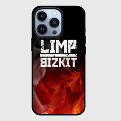 Чехол iPhone 13 Pro LIMP BIZKIT