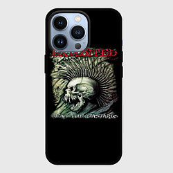 Чехол iPhone 13 Pro The Exploited