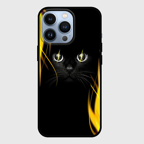 Чехол iPhone 13 Pro Грозовой кошак / 3D-Черный – фото 1