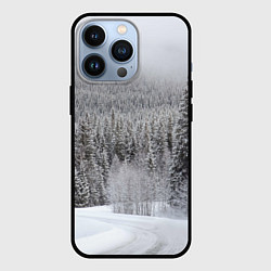 Чехол iPhone 13 Pro Зимняя природа