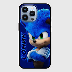 Чехол iPhone 13 Pro SONIC