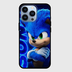 Чехол iPhone 13 Pro SONIC